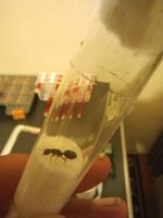 IMG_20220827_195528.jpg