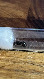IMG_0377.JPG