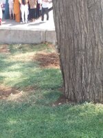 20220904_121936.jpg