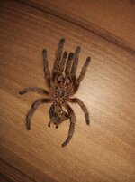 IMG_20220910_103844.jpg