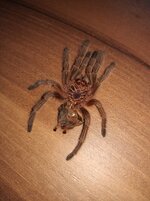IMG_20220910_103950.jpg
