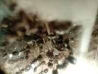 IMG_20220911_185930_1.jpg
