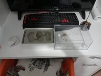 IMG20220917215357.jpg