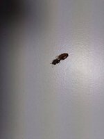 IMG-20220918-WA0001.jpg