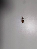 IMG-20220918-WA0000.jpg