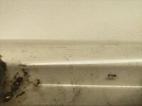 IMG_20220920_052104.jpg