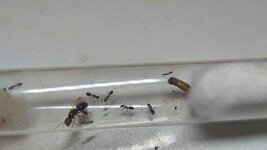 20220924_231419.jpg
