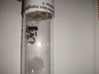 IMG_20220925_213057.jpg
