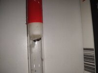 IMG_20220925_213041.jpg