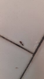 20220929_160732.jpg