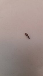 20220929_160711.jpg