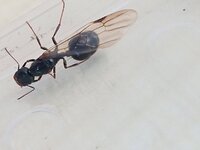 IMG_20221018_130304_197.jpg