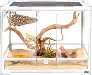 TarantulaYasamAlani03.jpg
