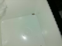 IMG_20221020_181402.jpg