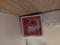 IMG_20221101_194639.jpg