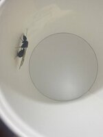 CA6BA627-BC6E-41AC-B054-D34C46C8C291.jpeg