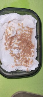 IMG-20221031-WA0027.jpg