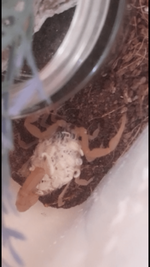 12391EDA-1C09-4120-81DD-7839C092523D.png