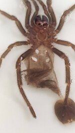 IMG_20230117_125147.jpg