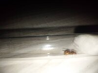IMG20230227210345.jpg