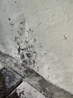 IMG_20230320_161956.jpg