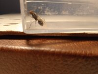 IMG_20230326_161950.jpg