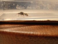 IMG_20230326_161947_1.jpg