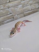 IMG_20230401_140044.jpg