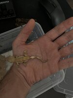 IMG_7985.jpeg