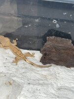 IMG_7991.jpeg