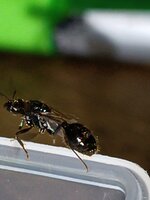 IMG_20230403_203132.jpg
