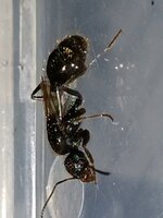 IMG_20230403_203043.jpg