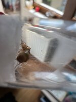 IMG_9967.jpeg