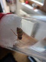 IMG_9966.jpeg