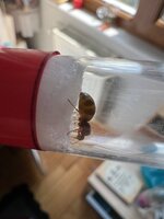 IMG_9965.jpeg