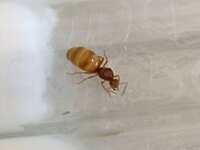 IMG_20230415_163756.jpg