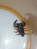 IMG_20230418_122757.jpg