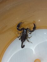 IMG_20230418_122748.jpg