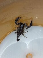 IMG_20230418_122746.jpg