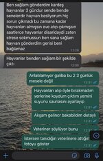 0CADB476-5F93-47BA-814D-618B0552AE88.jpeg