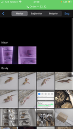 0698001F-EA9C-4CB4-90CC-CE4B10BC5CD0.png