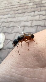 IMG_20230515_175344.jpg