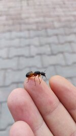 IMG_20230515_175108.jpg
