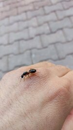 IMG_20230515_175038.jpg