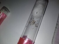 20230515_200442.jpg