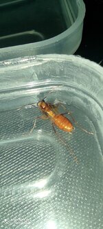 IMG_20230520_170646.jpg