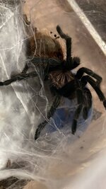 48e005ad-7255-4f4e-9cca-748d45f68a24.jpg