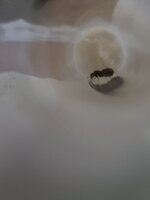 20230612_215738.jpg