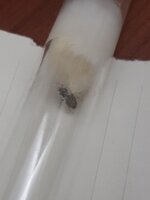 20230612_215716.jpg