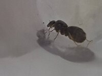 20230612_215649.jpg